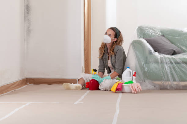 Reliable Mold Inspection contractor in Belmont, PA by WQB Mold Removal